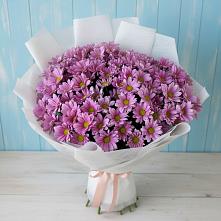 Букет цветов из:  Хризантемы в Селиваниху