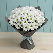 Букет цветов из:  Хризантемы в Селиваниху