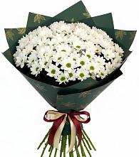 Букет цветов из:  Хризантемы в Селиваниху