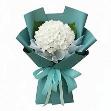 Букет цветов из:  Гортензия в Селиваниху